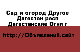 Сад и огород Другое. Дагестан респ.,Дагестанские Огни г.